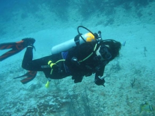 Visita guiada de buceo